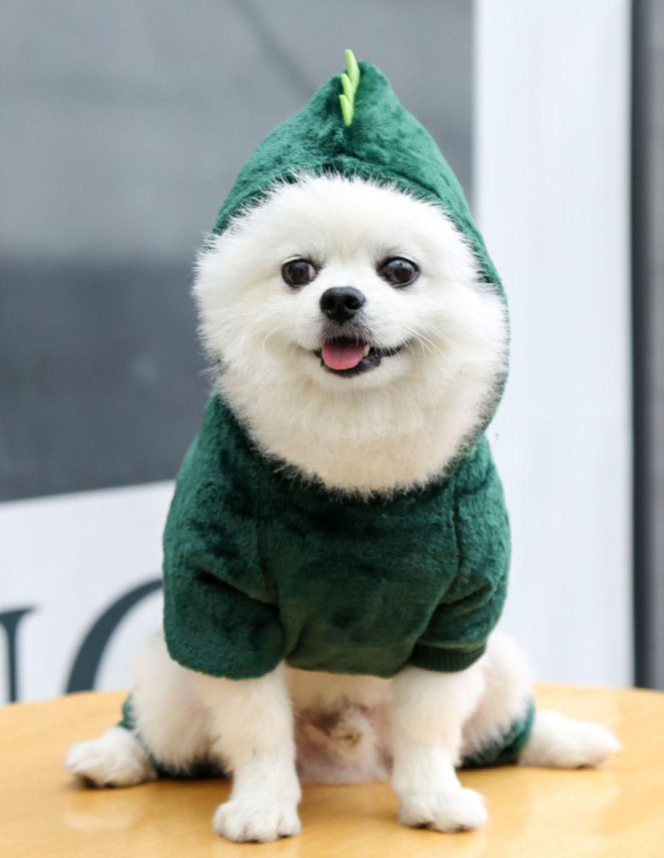 Sudadera para perro 5