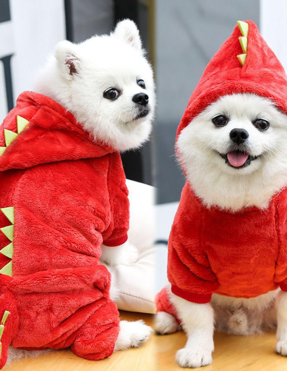 Sudadera para perro 4