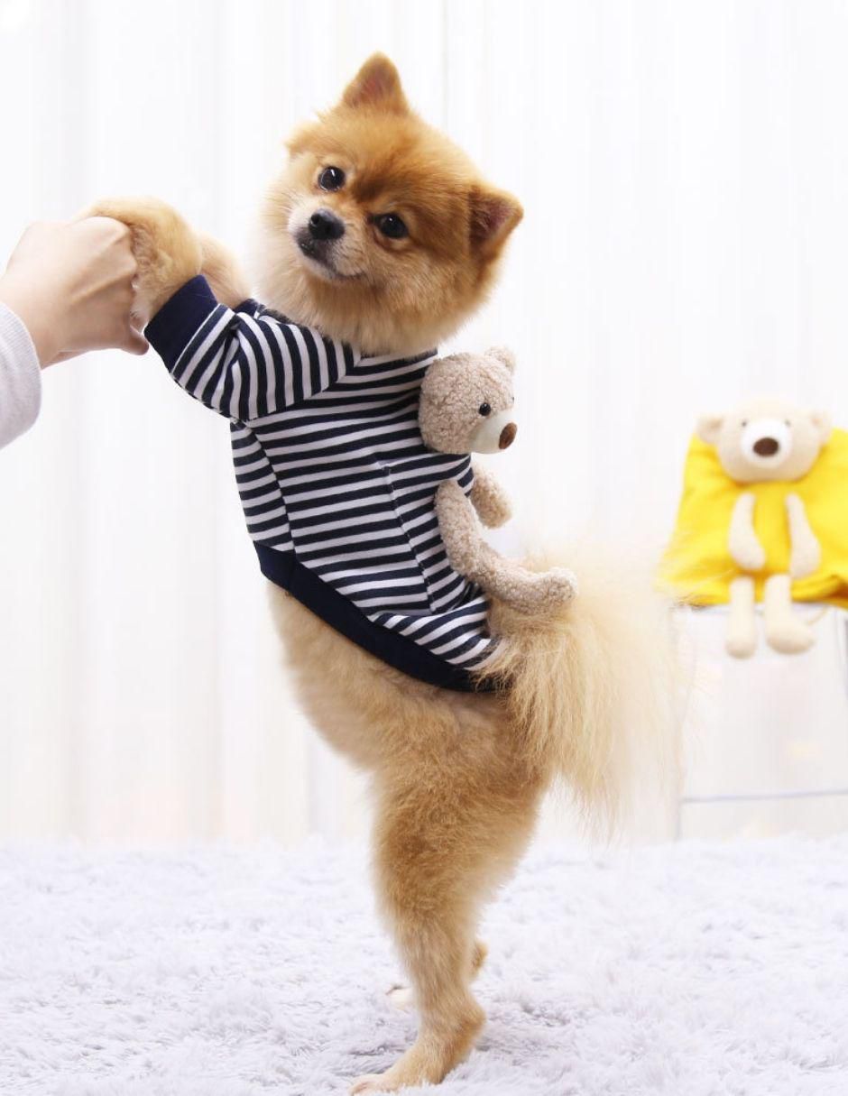 Sudadera para perro 5