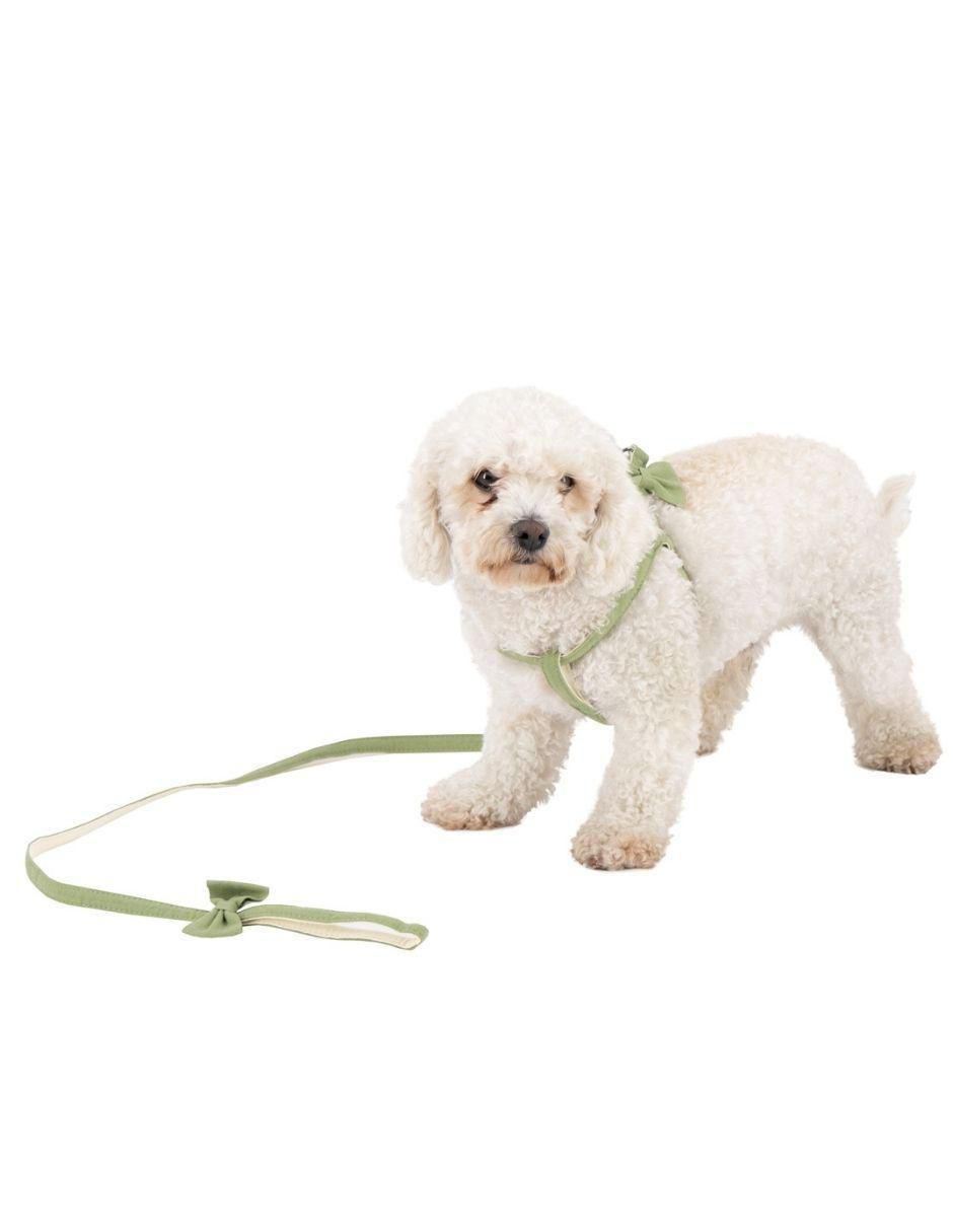 Collar decorativo para perro Accesorios 4