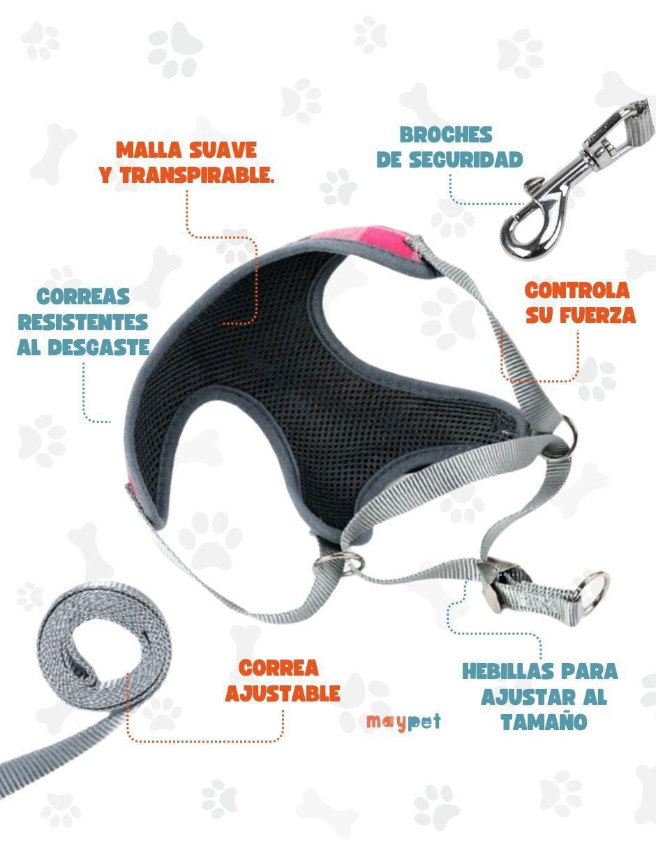 Set para perro Accesorios 2