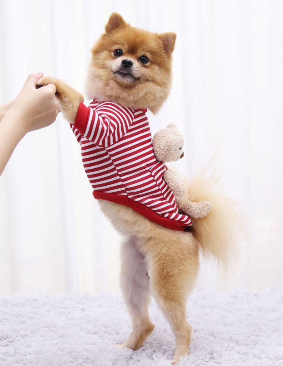 Sudadera para perro Accesorios 5