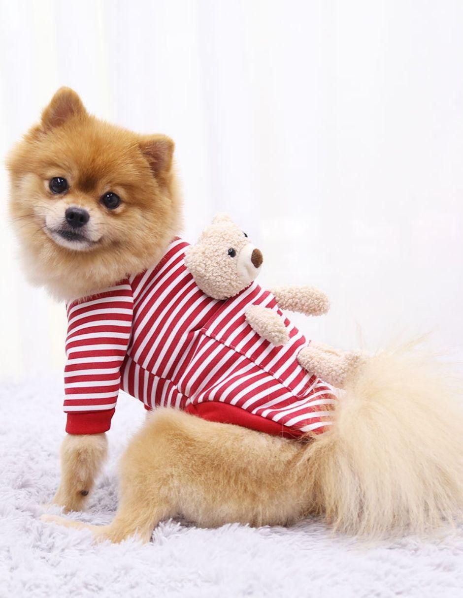 Sudadera para perro Accesorios 6