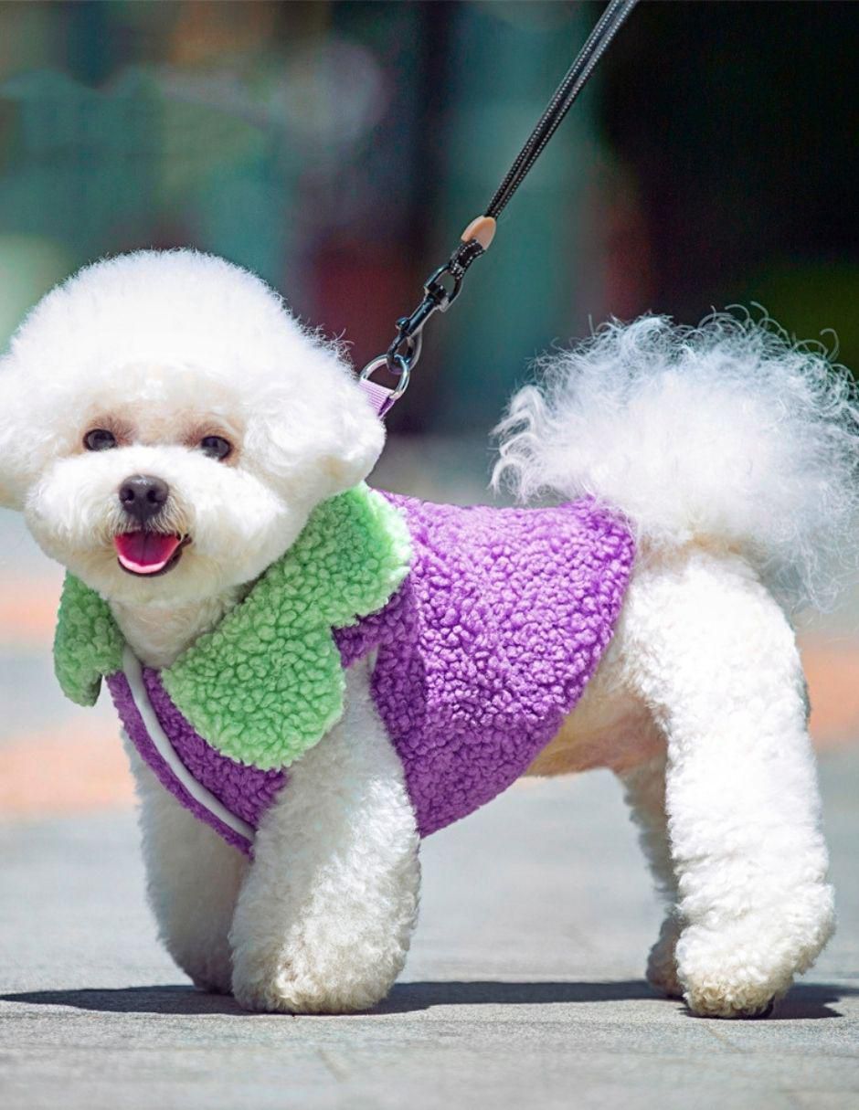 Suéter para perro 4
