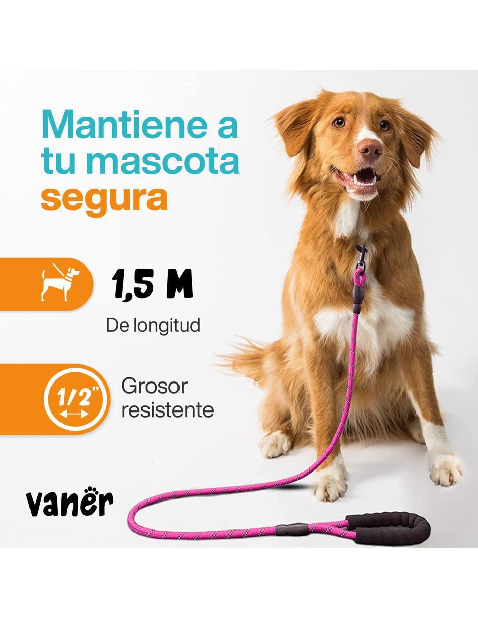 Correa sintética para perro 2