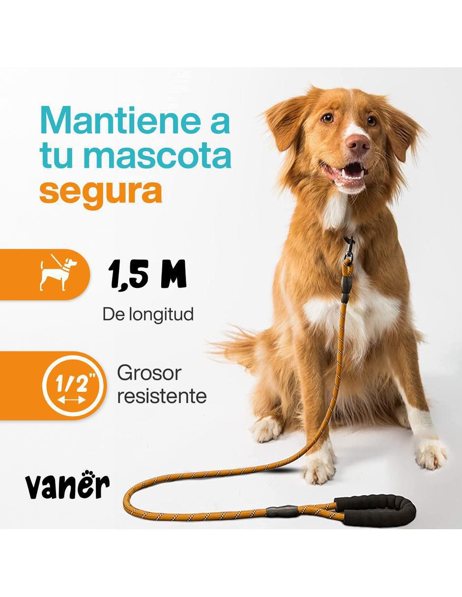 Correa enna "de" sintético "para" perro