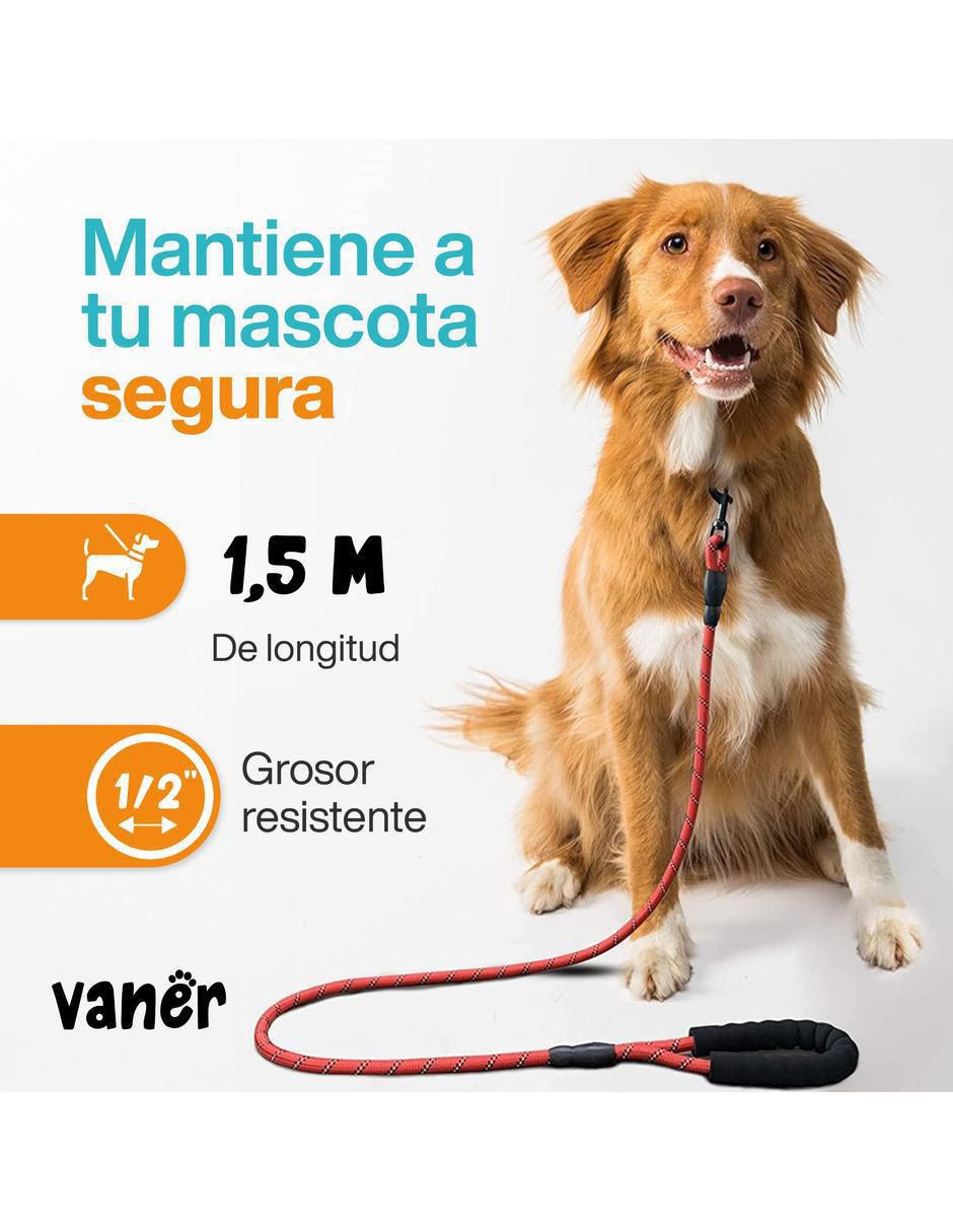 Correa enna "de" sintético "para" perro