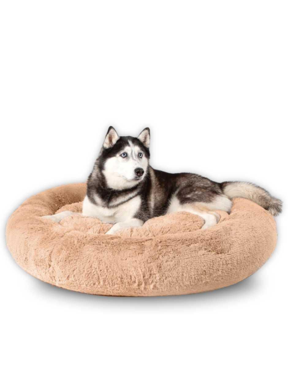 Cama para perro y gato Cama para perro y gato