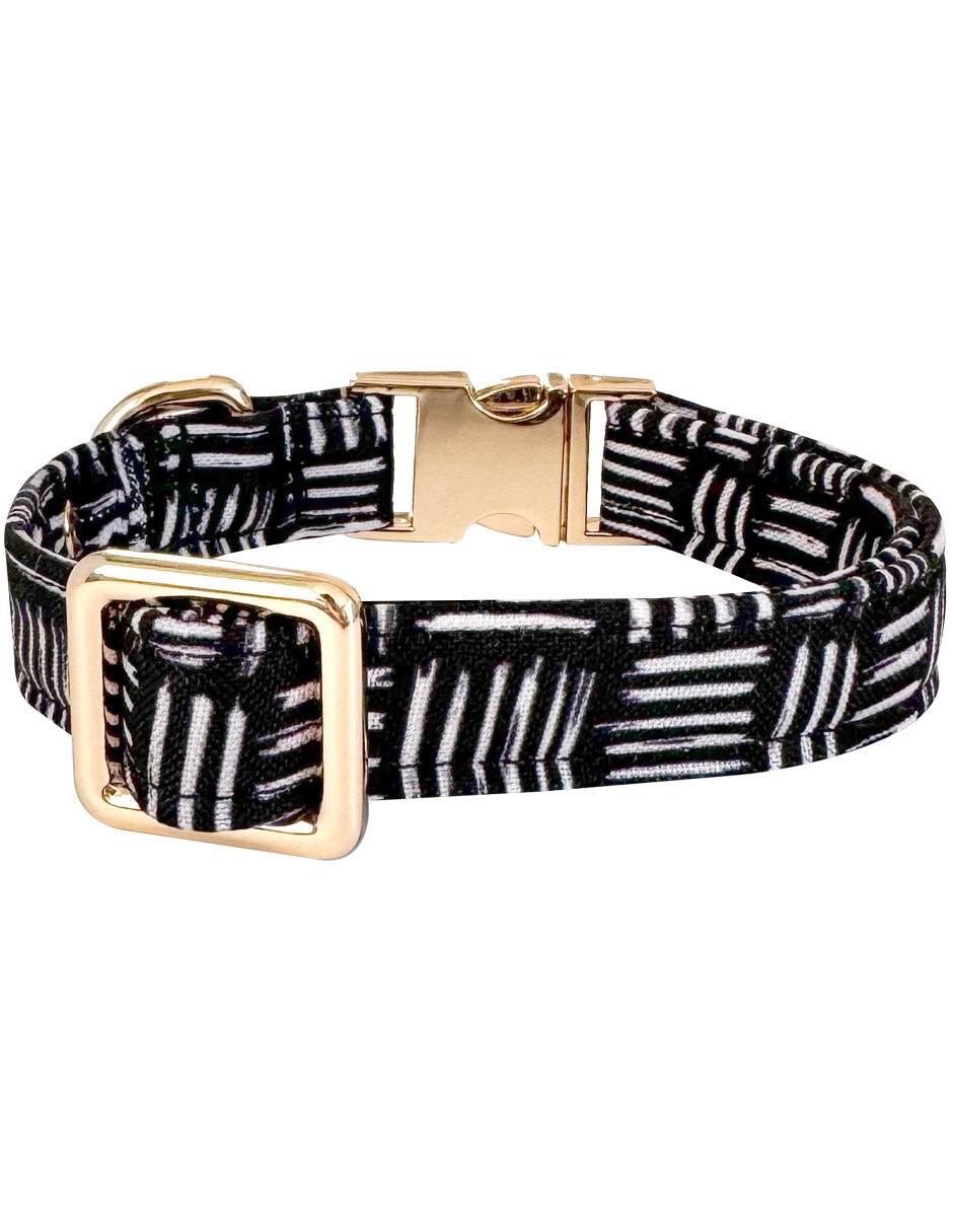 Collar para perro 3