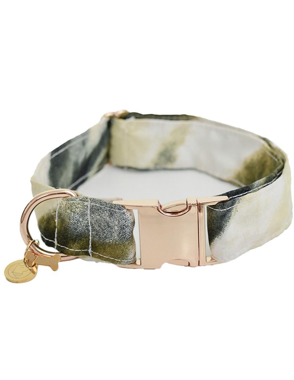 Collar para perro 1