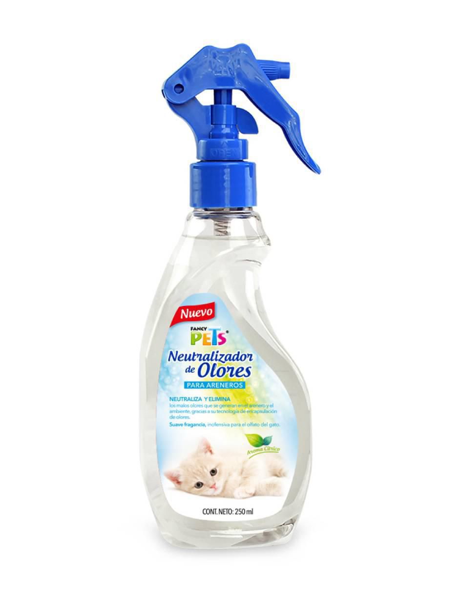 Kit de entrenamiento para gato 3