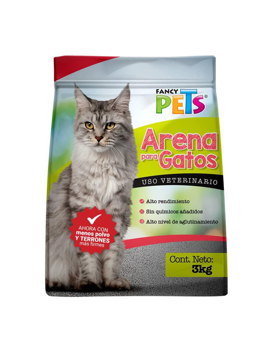 Kit de entrenamiento para gato 4