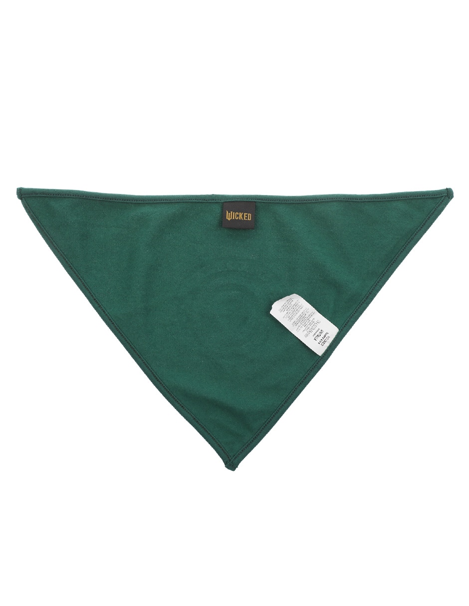 Pañuelo para perro 2