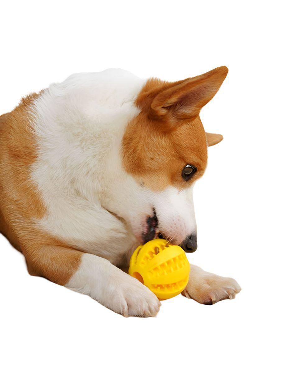 Paquete de pelotas para perro 3
