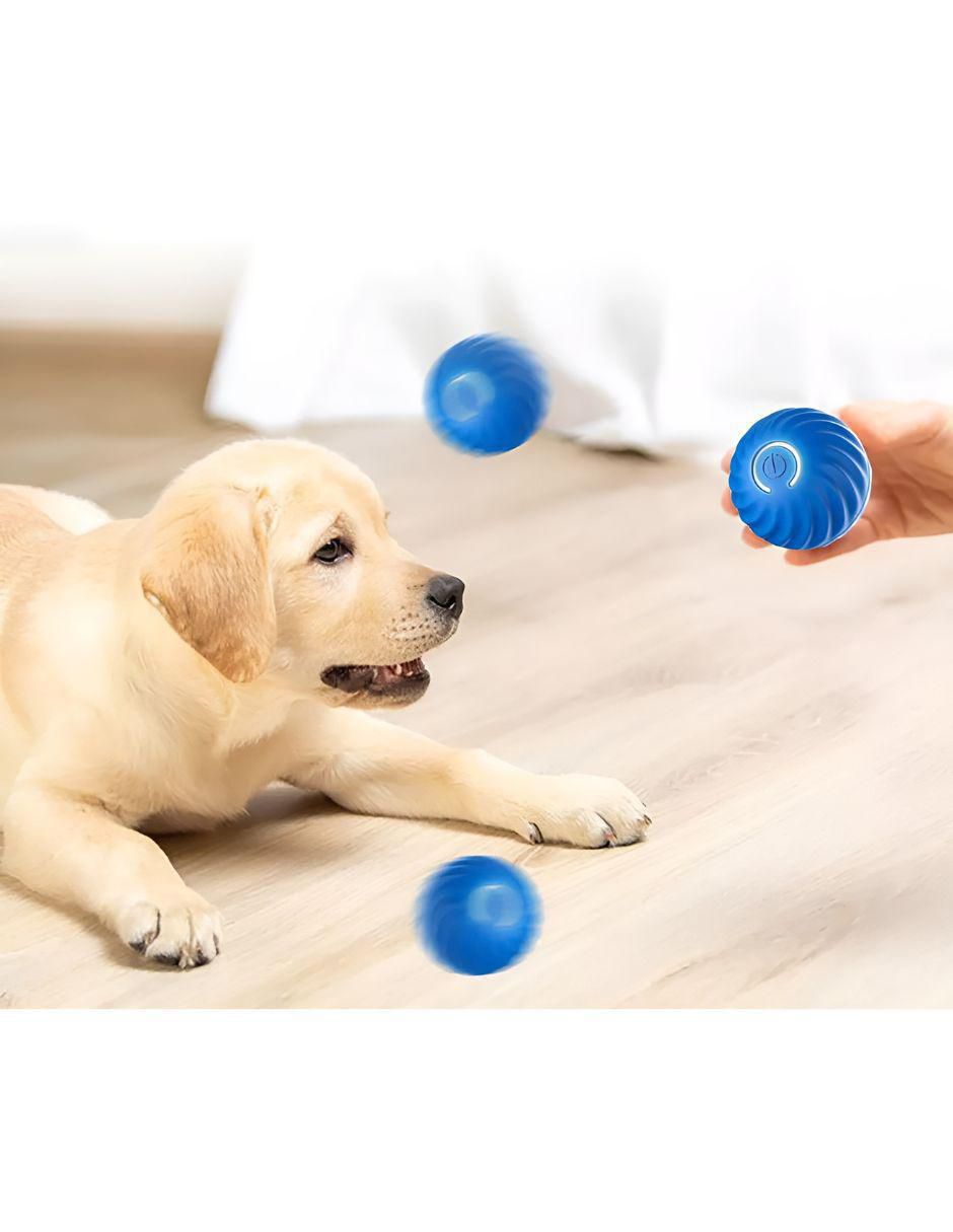 Pelota para perro 2