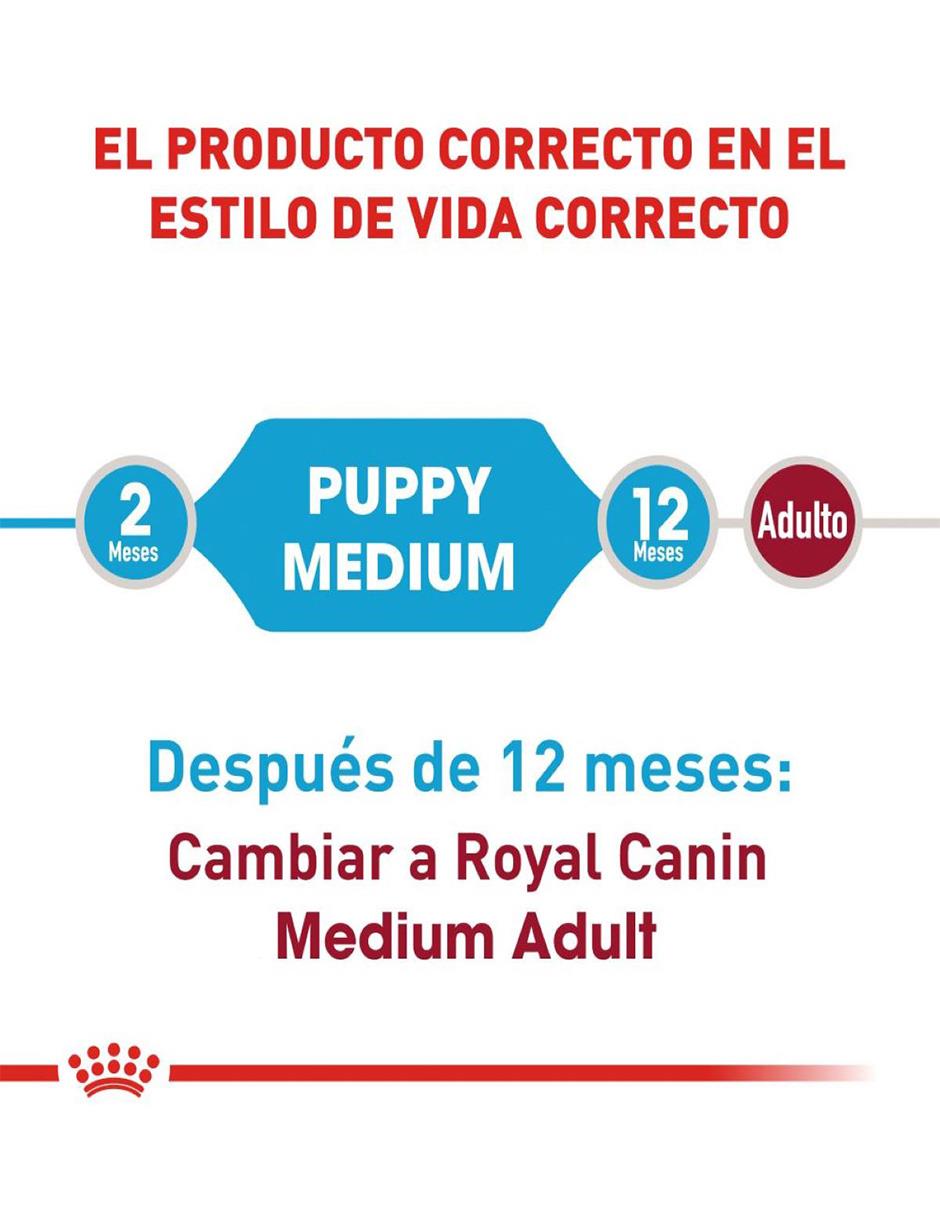 Croqueta para perro etapa cachorro contenido 7.7 kg 3