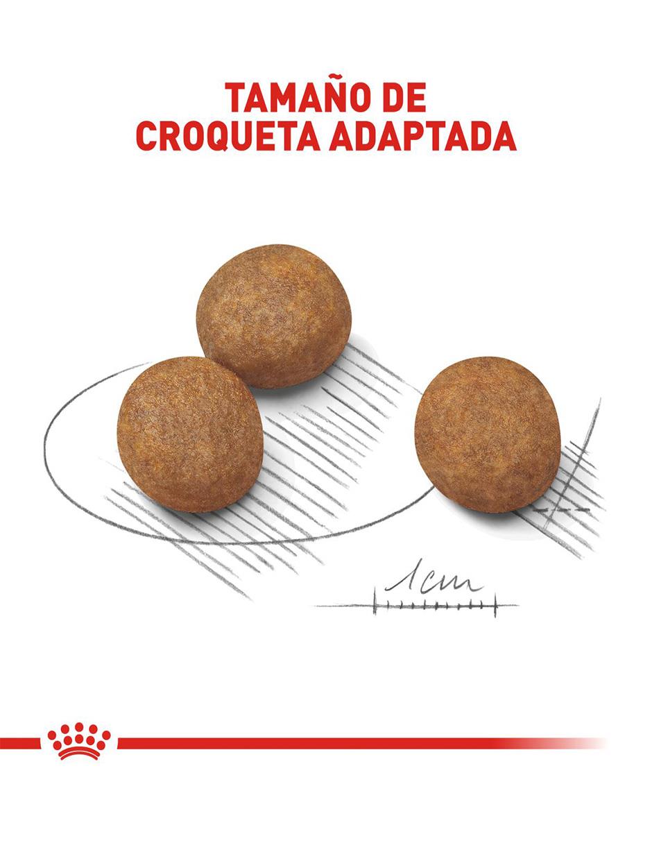 Croqueta para perro etapa cachorro contenido 7.7 kg 5