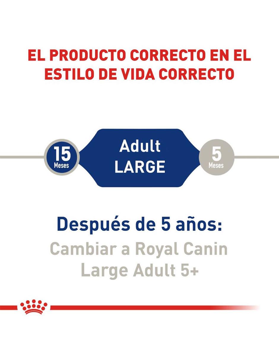 Croqueta para perro etapa adulto contenido 7.7 kg 3