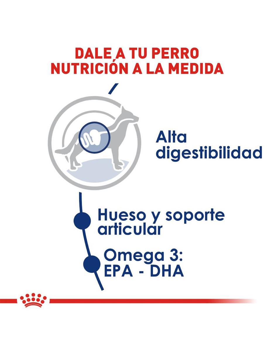 Croqueta para perro etapa adulto contenido 7.7 kg 5