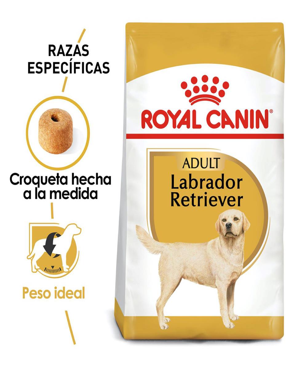 Croqueta para perro etapa adulto contenido 7.7 kg 2
