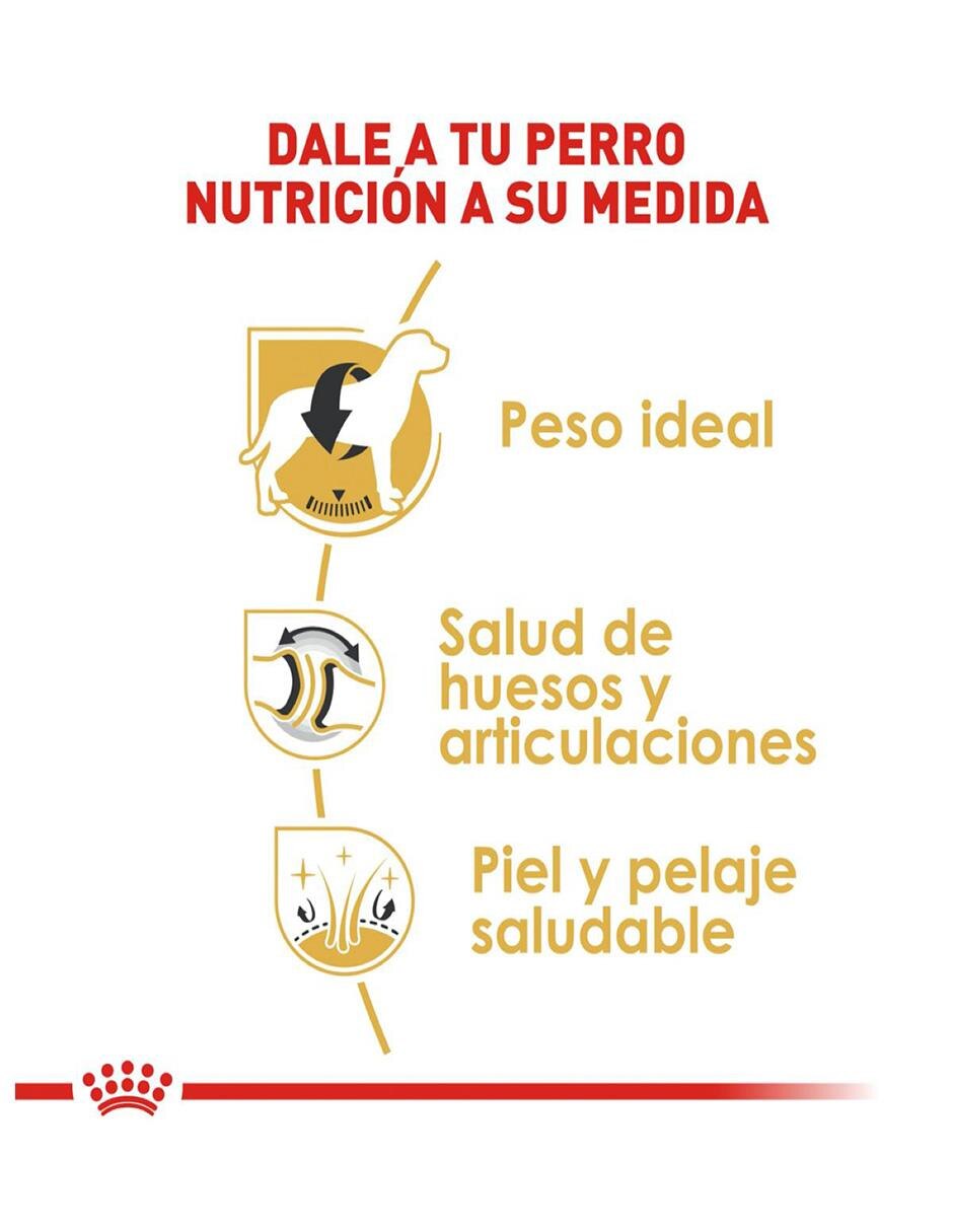 Croqueta para perro etapa adulto contenido 7.7 kg 5