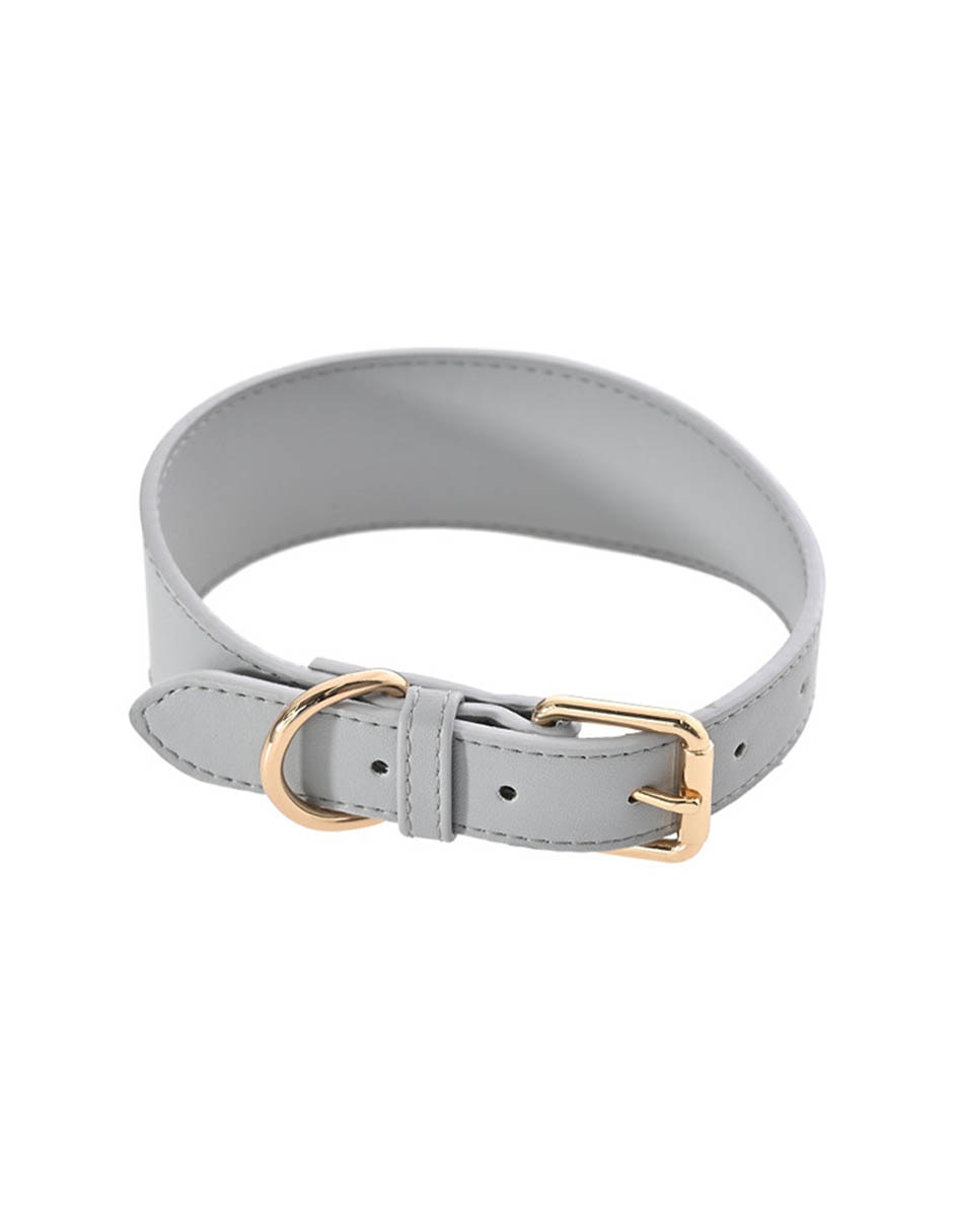 Collar para perro 2