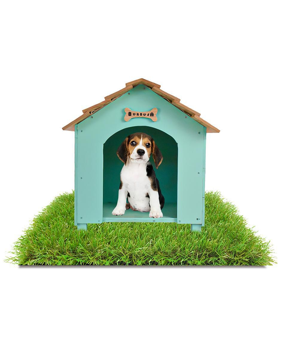 Casa para perro y gato 4
