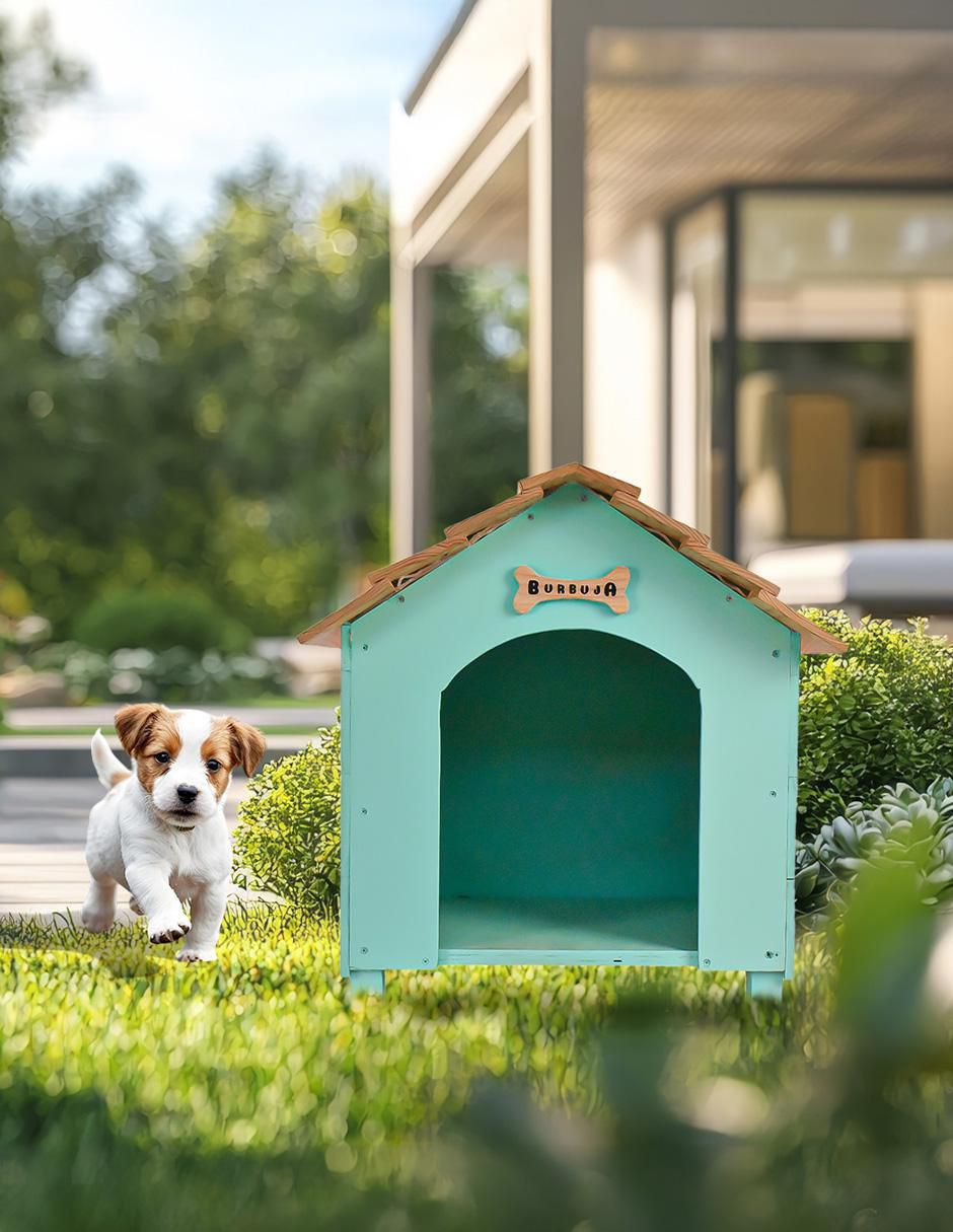 Casa para perro y gato 5