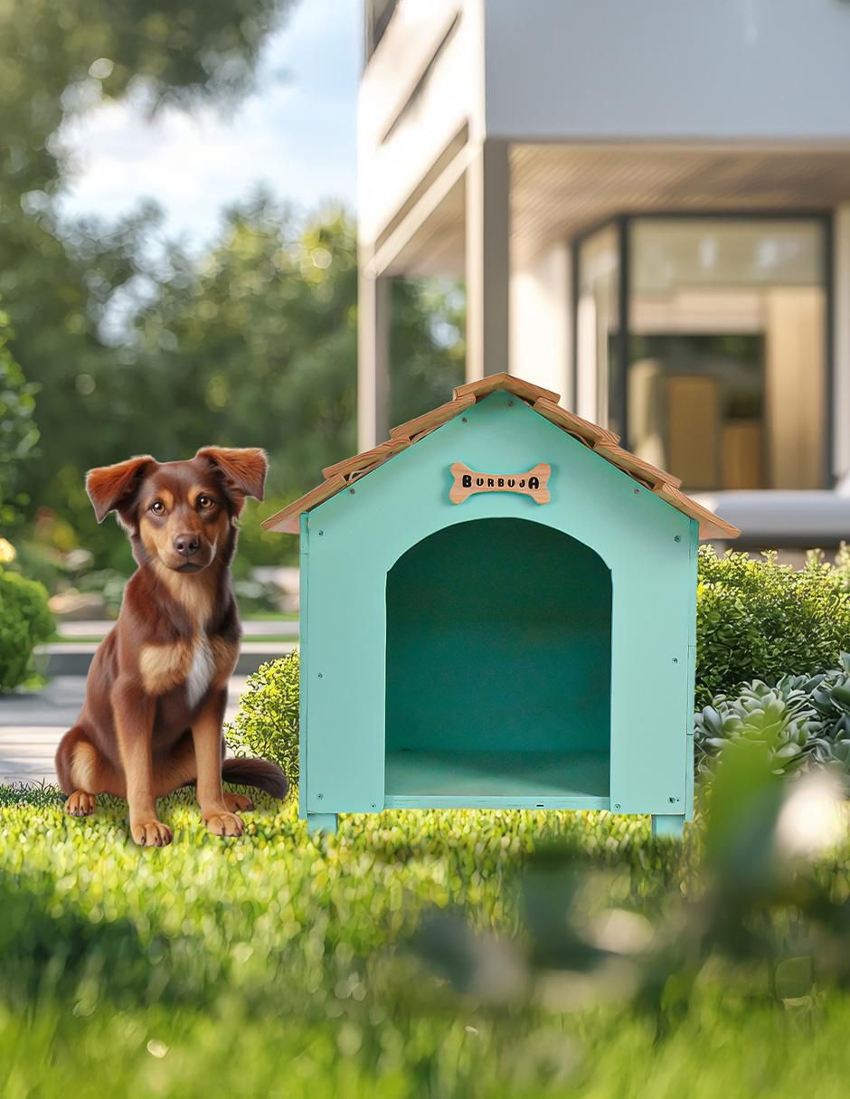 Casa para perro y gato 5
