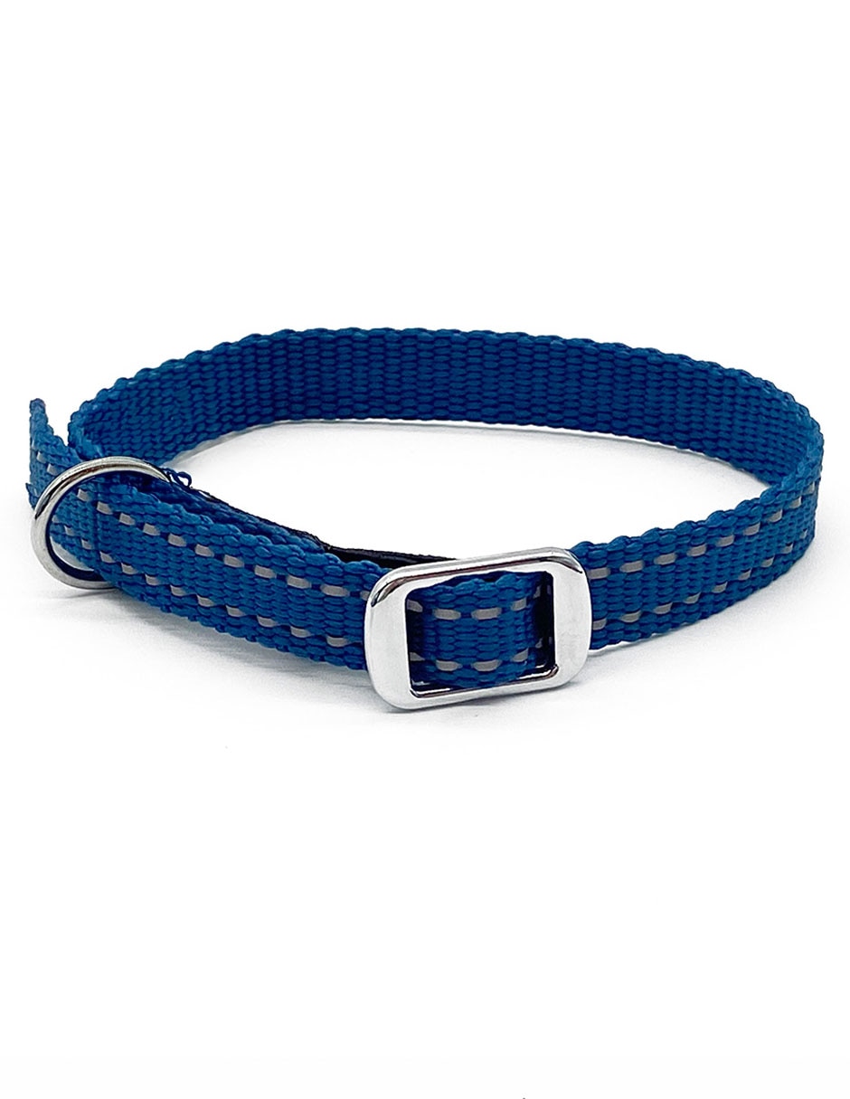 Collar para perro 2