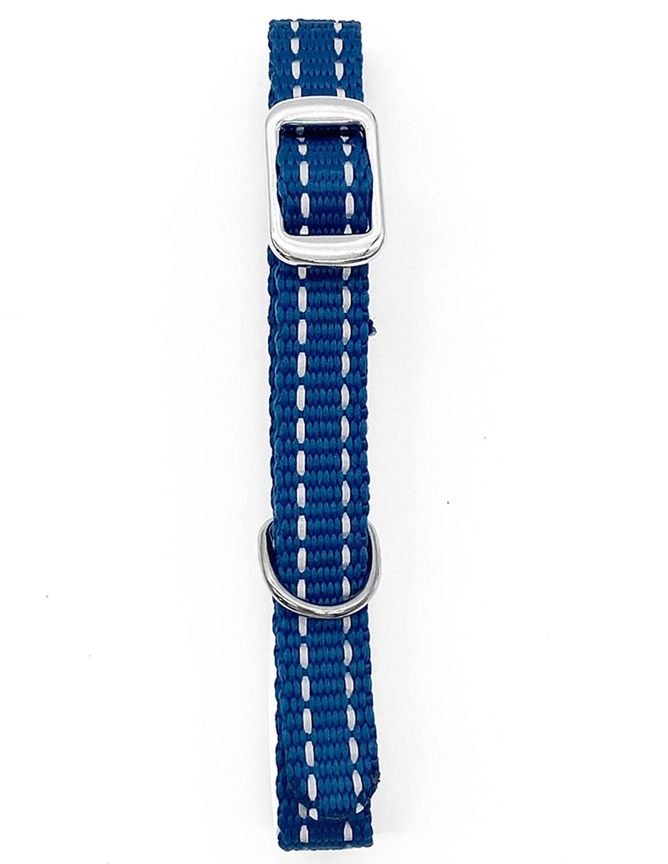 Collar para perro 3