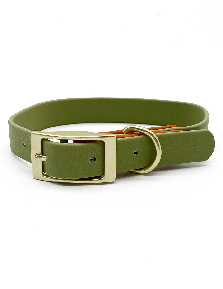 Collar sintético para perro 3