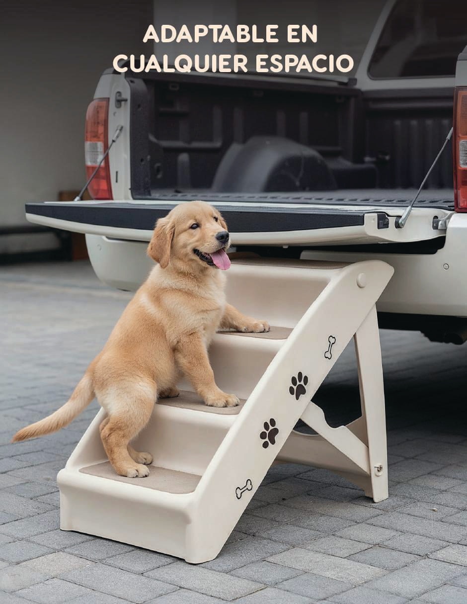Rampa para mascota para perro 5
