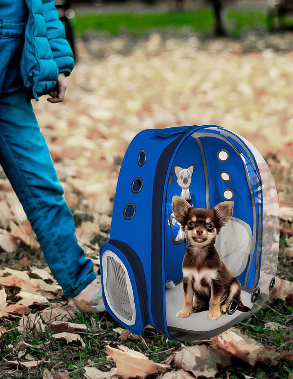 Mochila para mascota 6