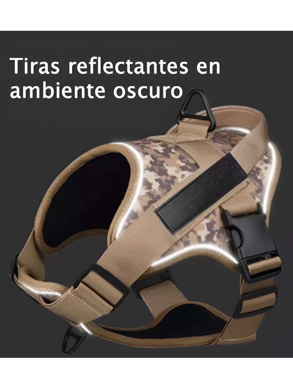 Pechera y correa Wünd para perro 4