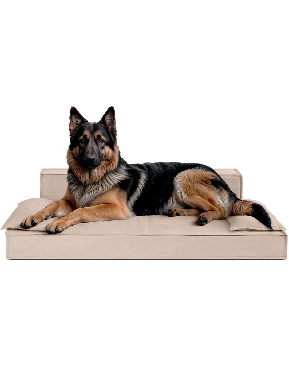 Cama para perro y gato