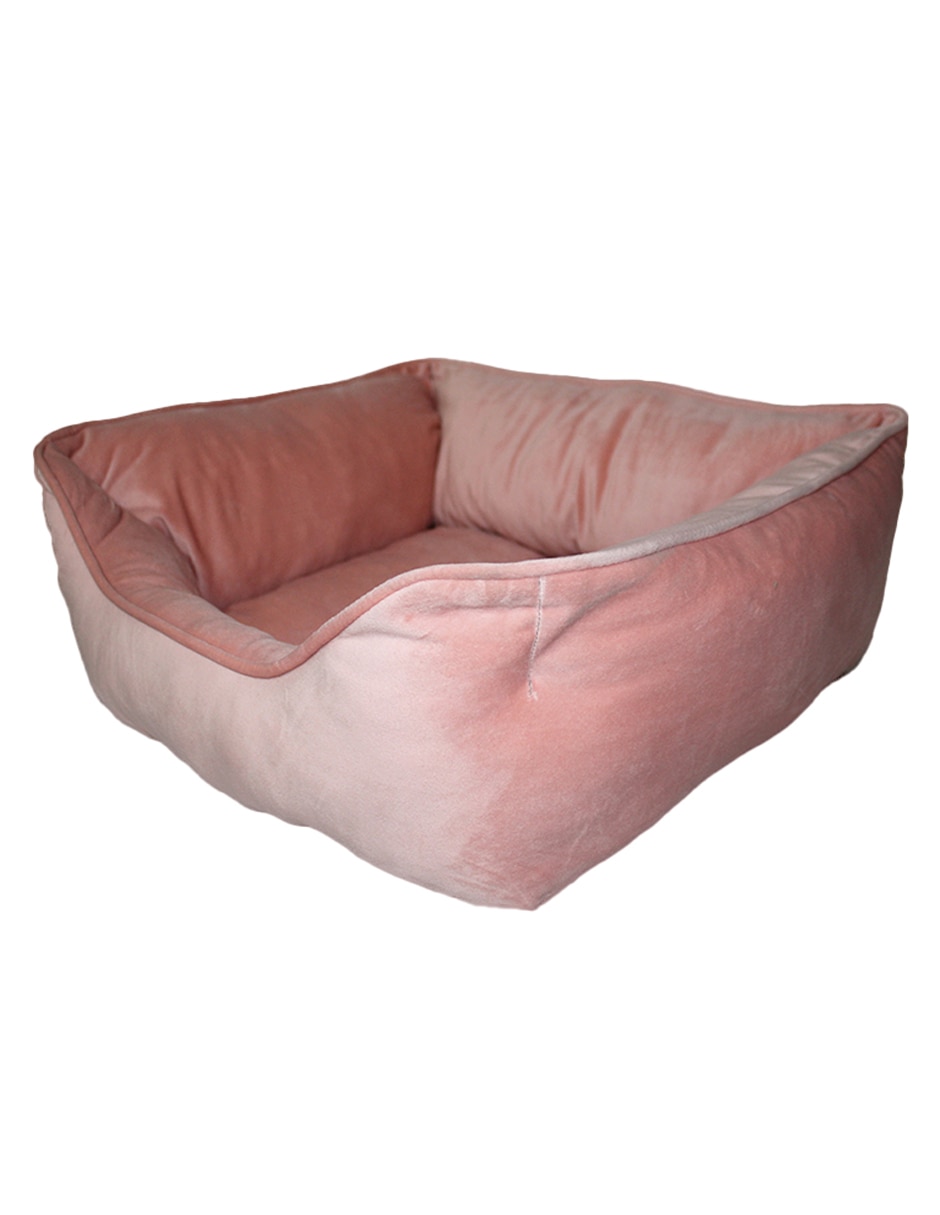 Rosa 2