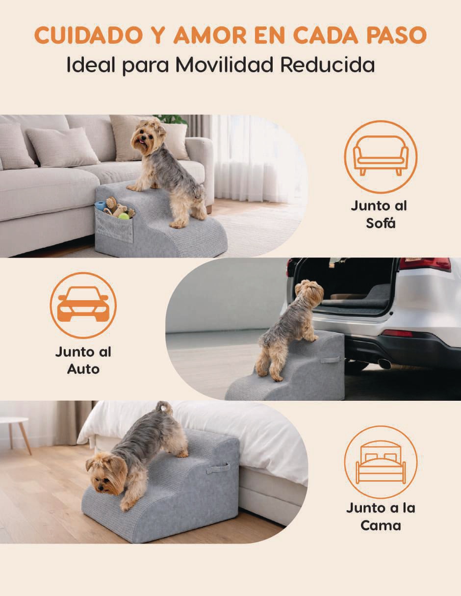Rampa para mascota para perro 8