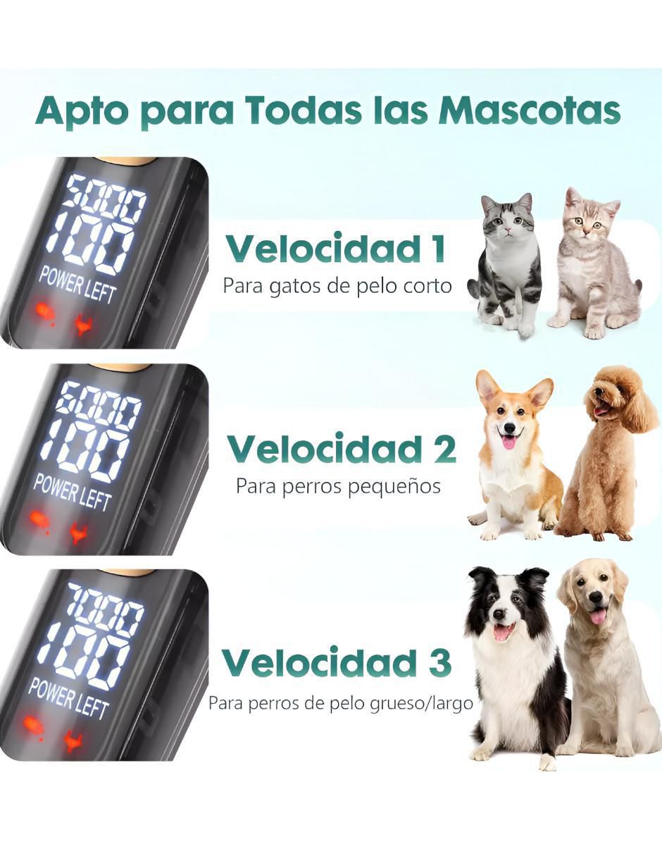 Rasuradora para perro y gato 5