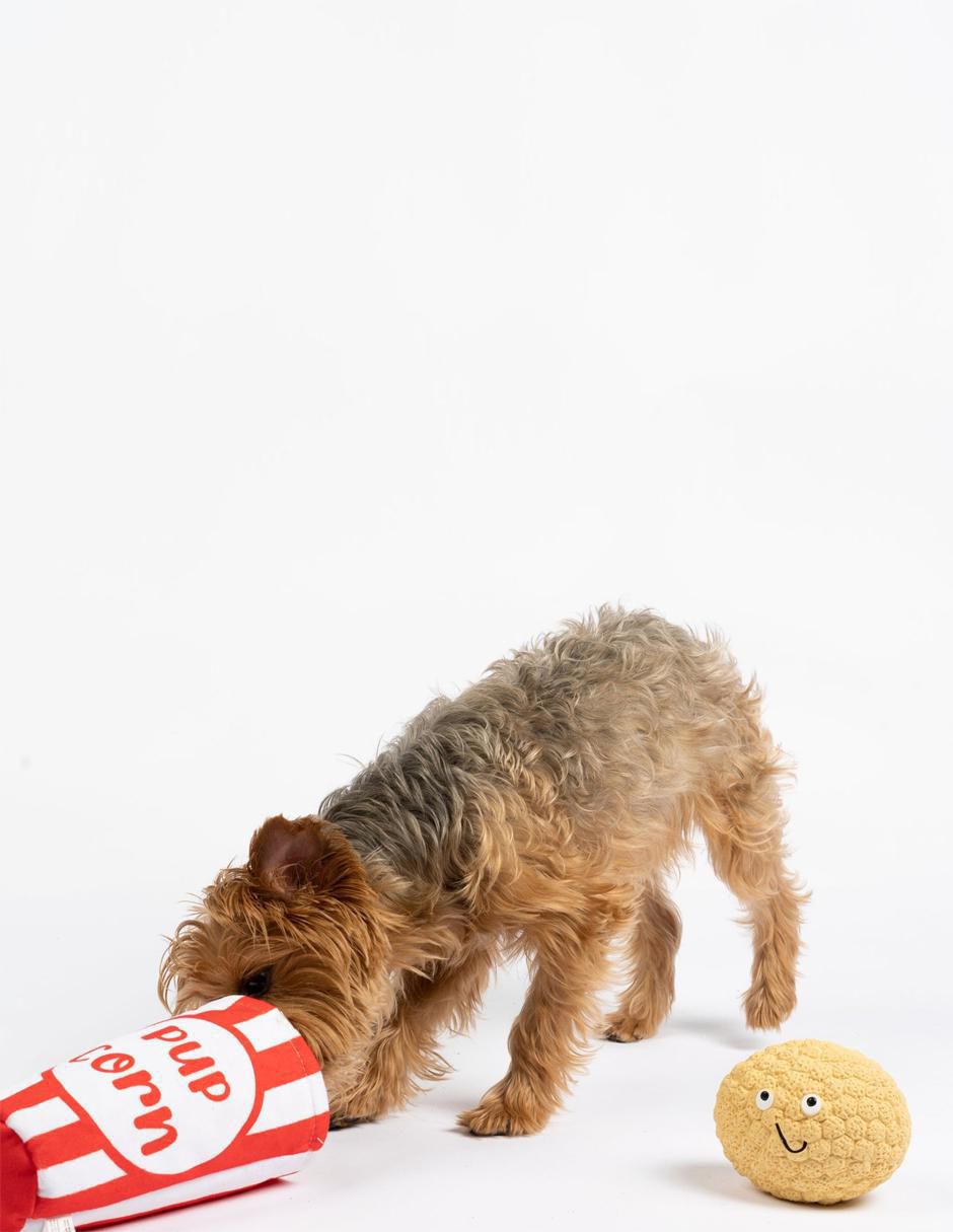 Peluche para perro 2