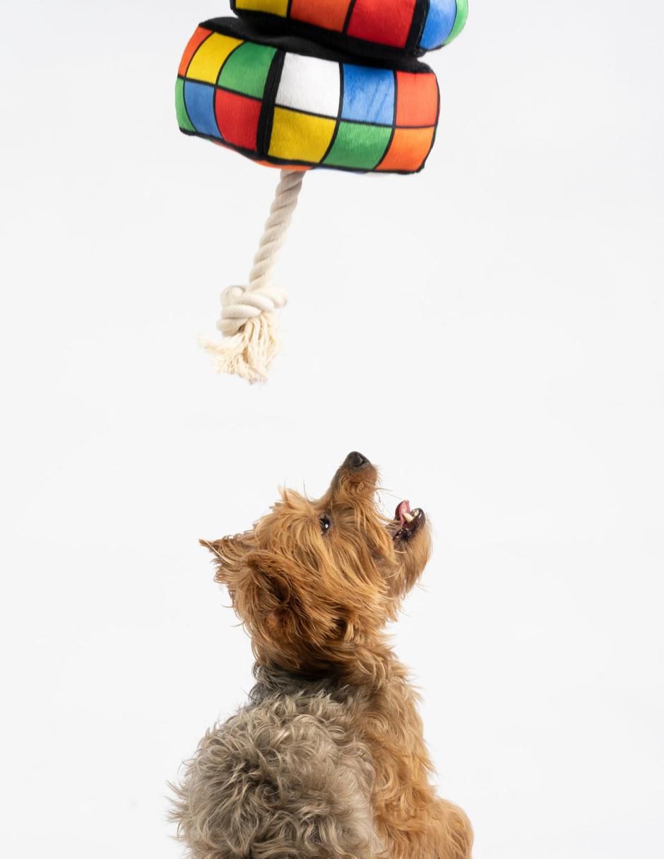 Peluche para perro 2