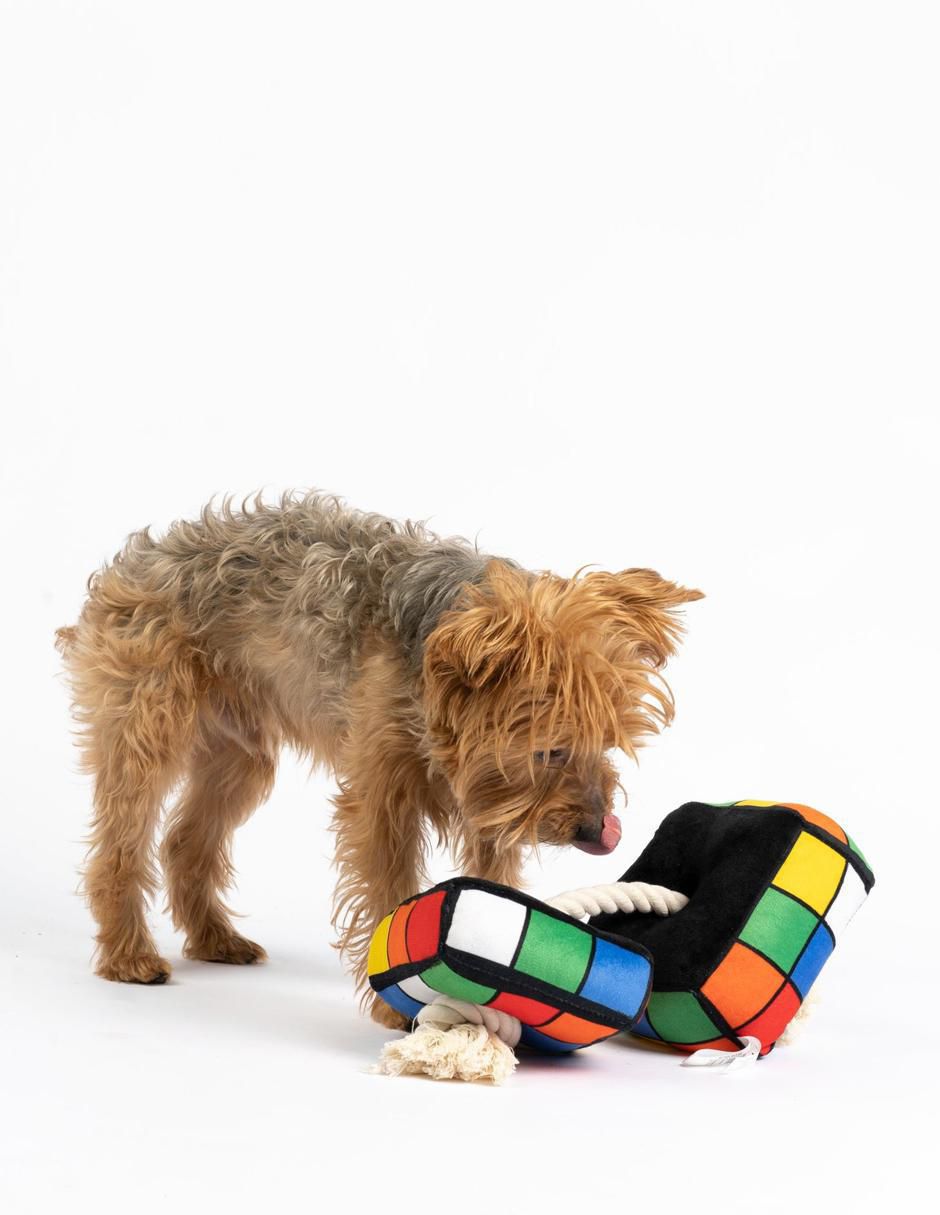 Peluche para perro 3