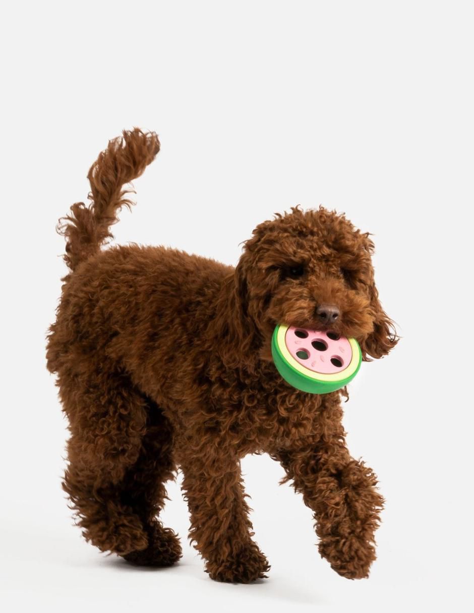 Juguete para perro 5