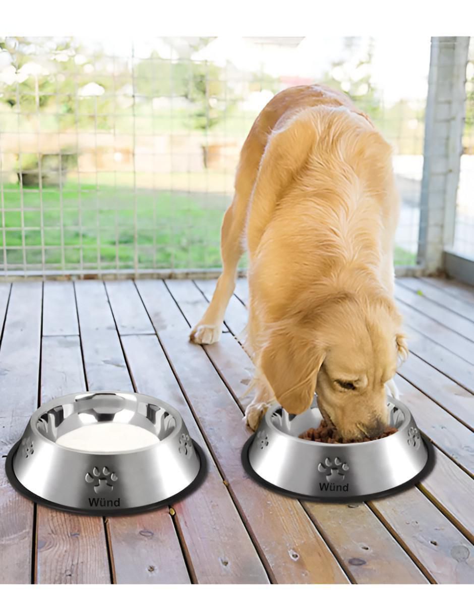 Set plato para mascota