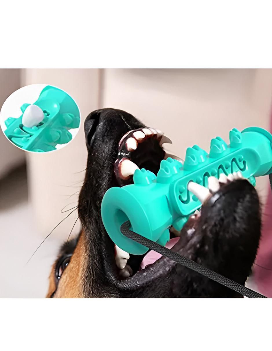 Juguete para perro 3