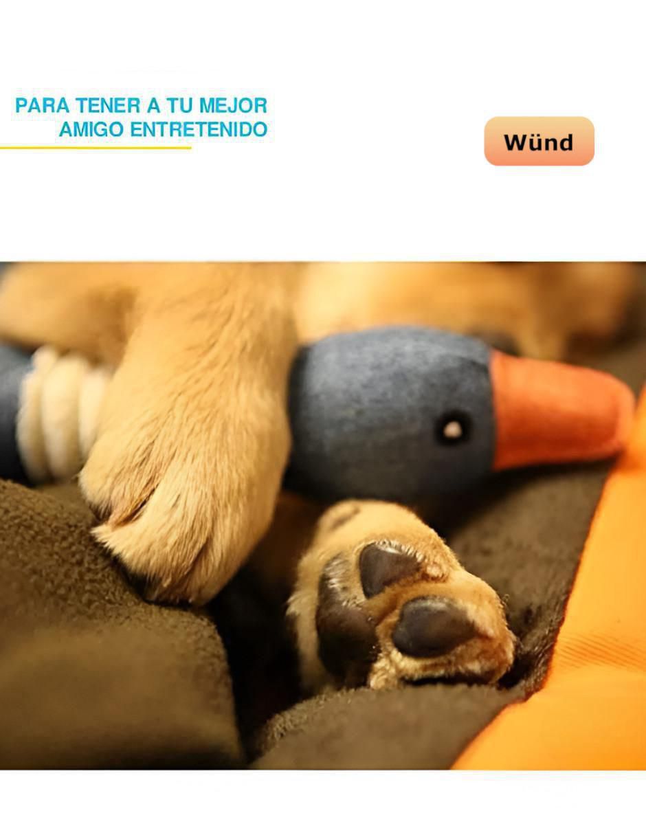 Peluche para perro 4