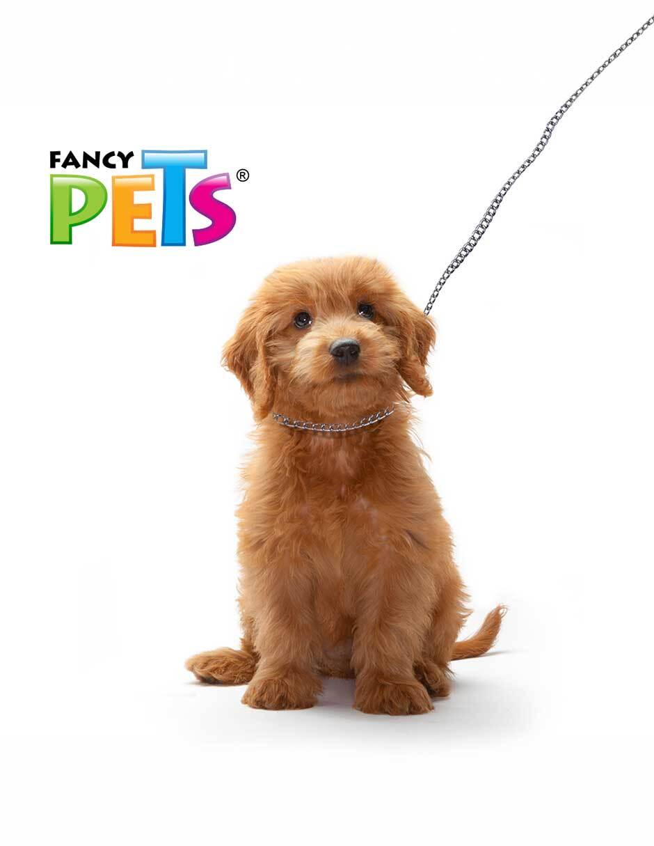 Collar de acero para perro 2