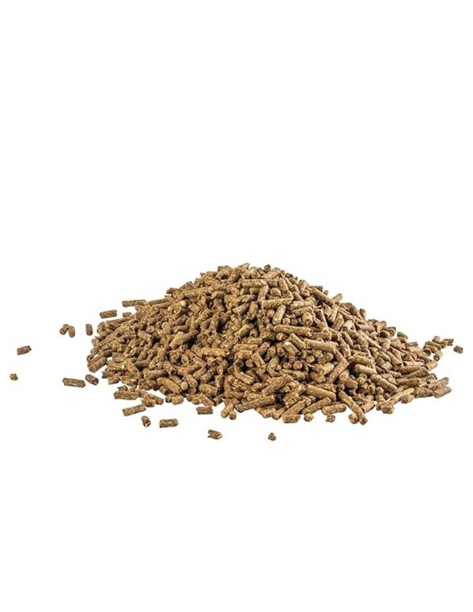Semillas para chinchilla etapa adulto contenido 1 kg 2