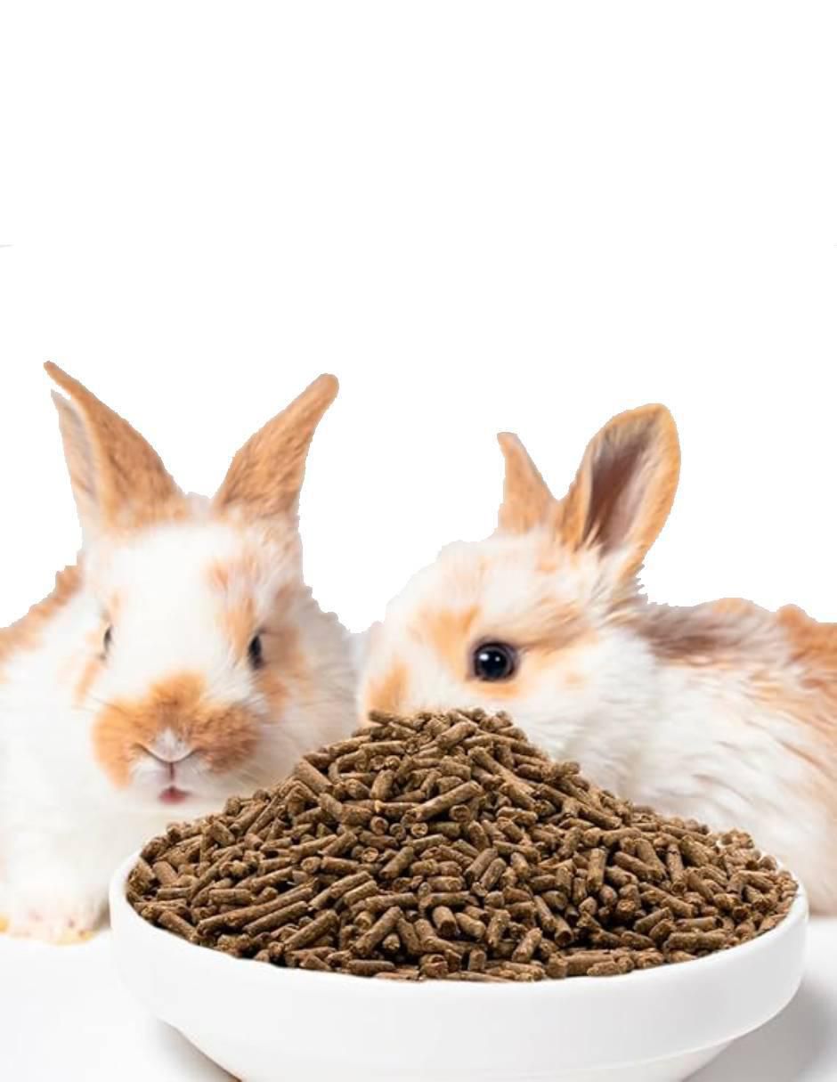 Semillas para conejo todas las etapas contenido 1 kg 2