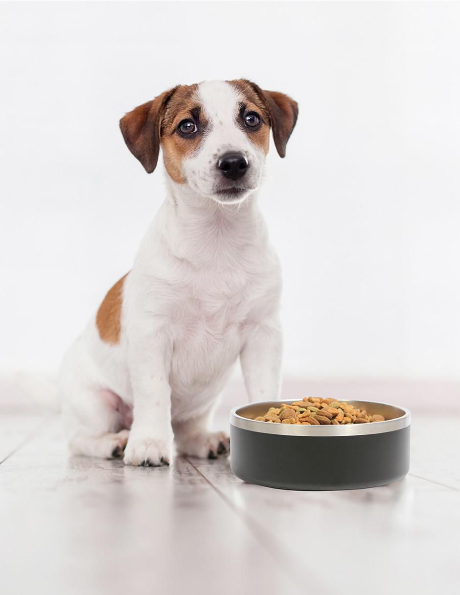 Plato para mascota 1.2 L 2